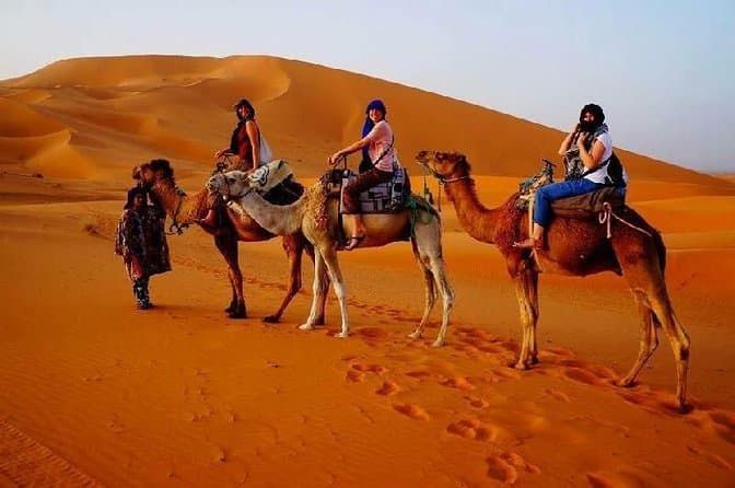 Desert Safari